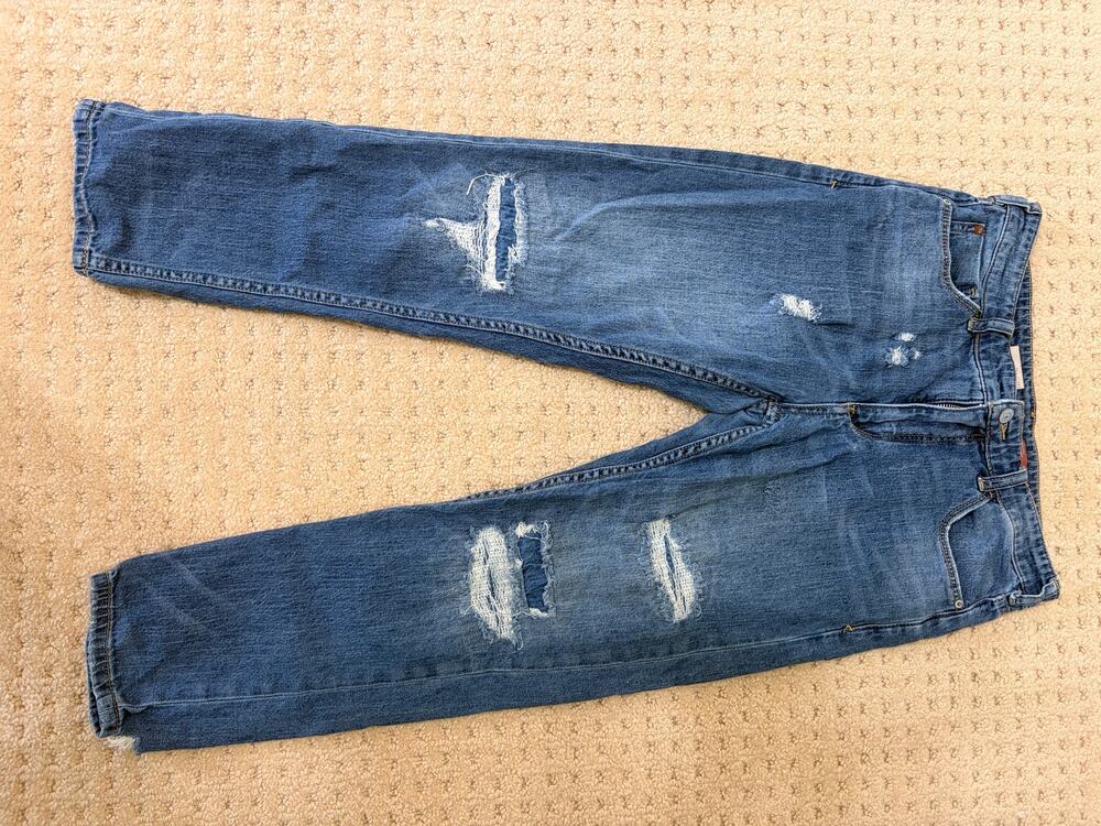 Pilcro Anthropologie Slim Boyfriend Distressed Jeans Size 27